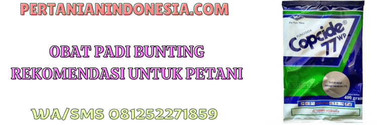 obat,bunting,pestisida,pestisida jenis fungisida,pertanian indonesia